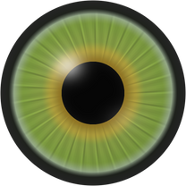Chloris